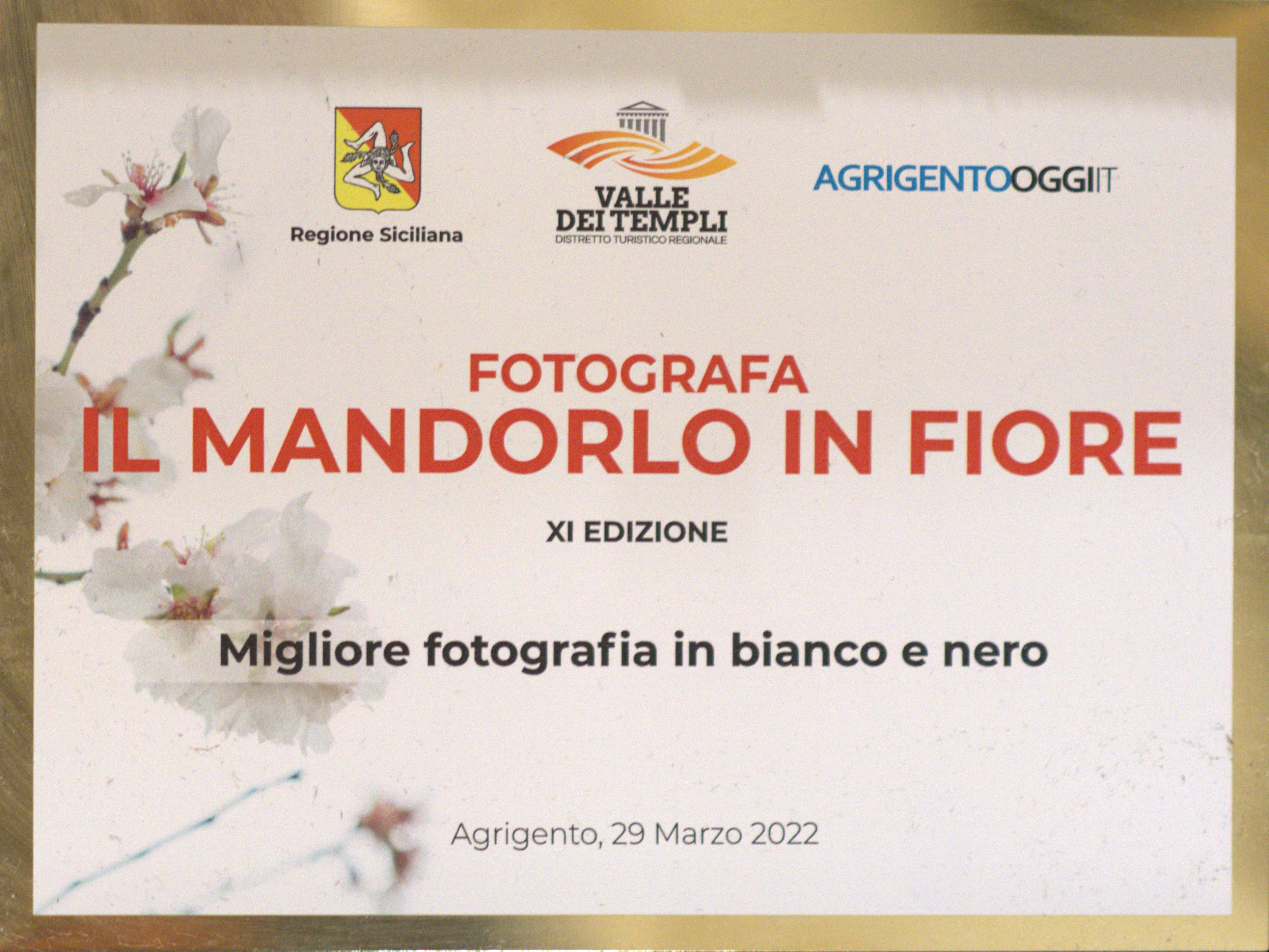 Foto premio Mandorlo in Fiore